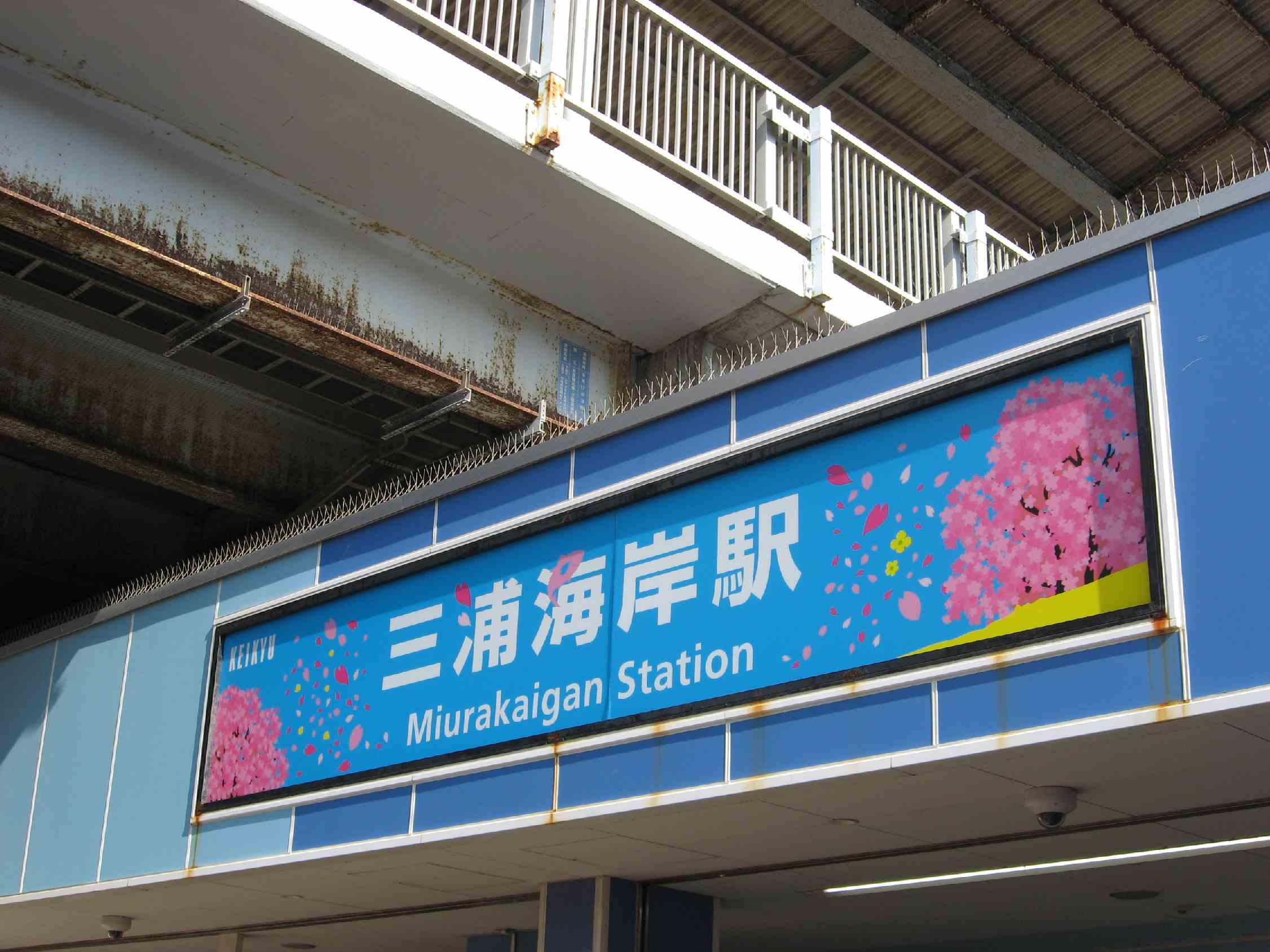 春るんるん三浦海岸20260215