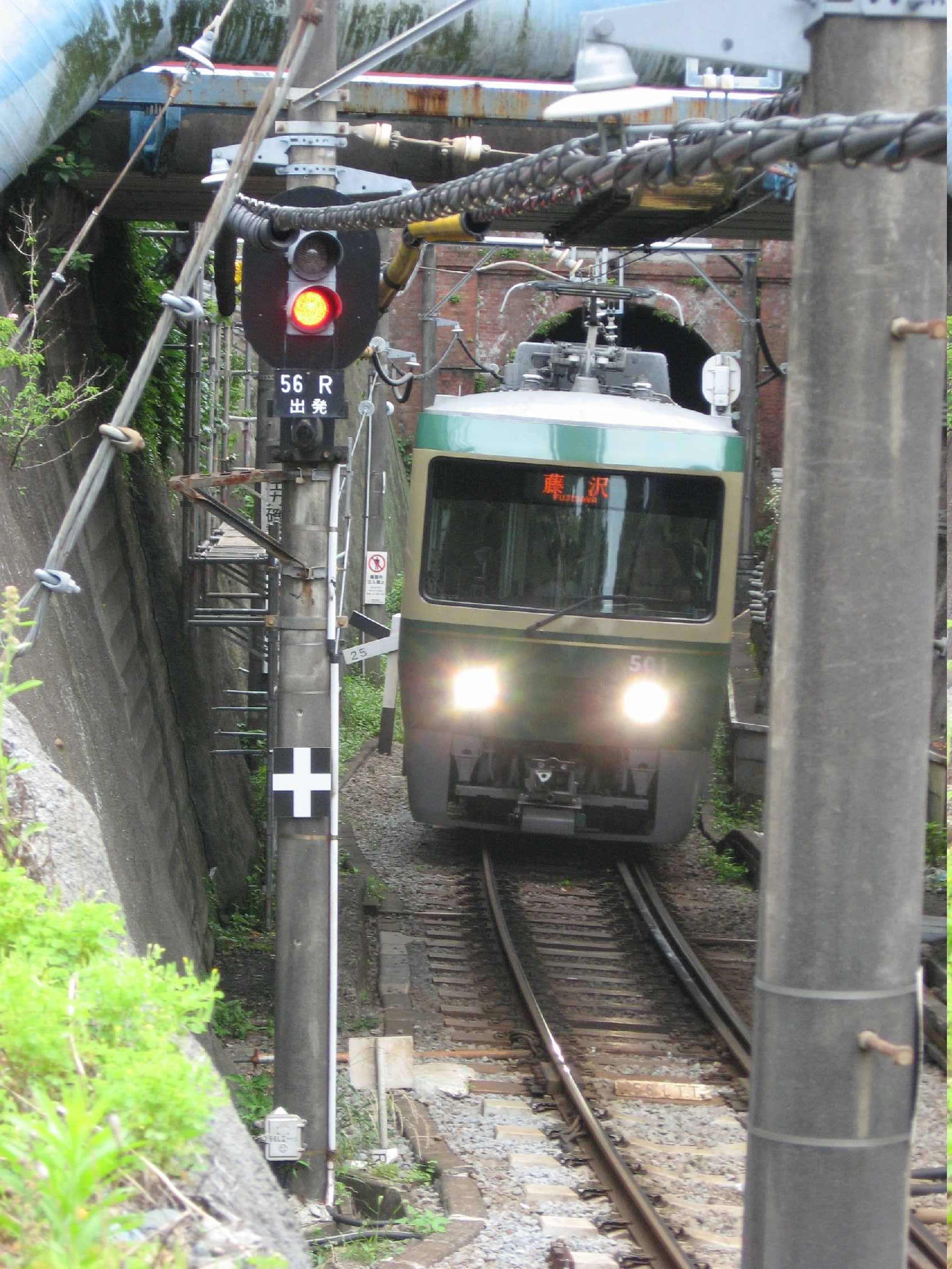 20260620江ノ島あじさい